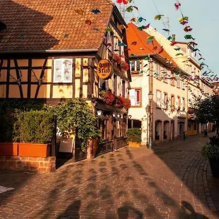 Route Des Vins - 4 Pers - Pied Des Vosges Apartament