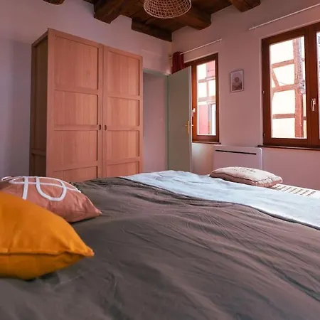 Route Des Vins - 4 Pers - Pied Des Vosges バール