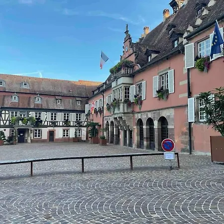 Apartmán Route Des Vins - 4 Pers - Pied Des Vosges *
