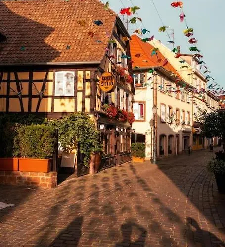 Route Des Vins - 4 Pers - Pied Des Vosges アパート