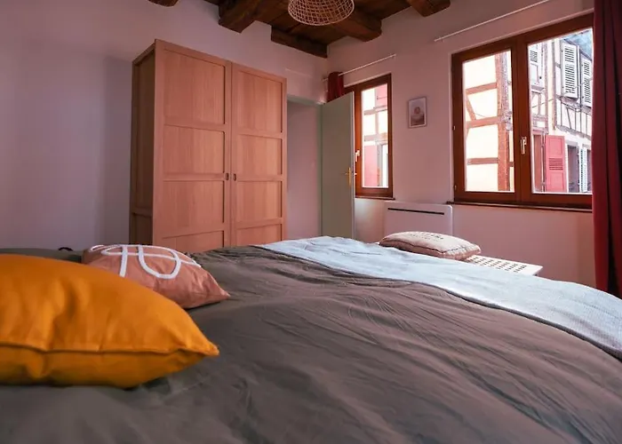 Route Des Vins - 4 Pers - Pied Des Vosges バール