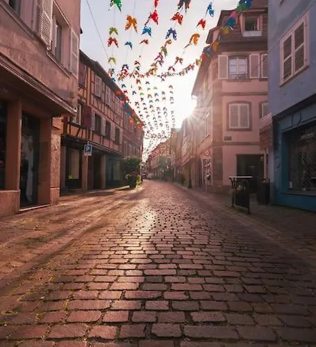 Route Des Vins - 4 Pers - Pied Des Vosges アパート *