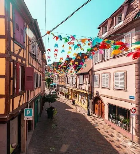 Route Des Vins - 4 Pers - Pied Des Vosges * バール